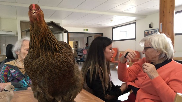 Les animaux acteurs du « mieux vivre » en EHPAD – Bientraitance et bienveillance à plumes et à poils…