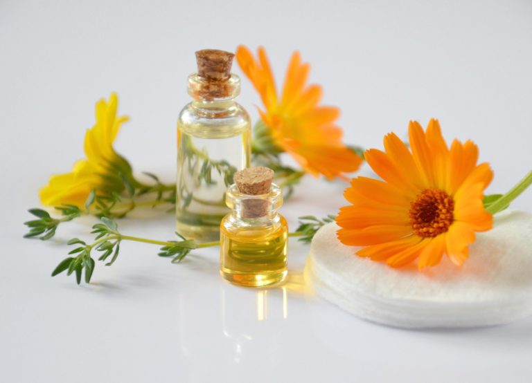 Nouveautés ! Aromathérapie – Directives anticipées – Troubles de la déglutition – Finger Food, manger main – Se mettre à la place d&rsquo;une personne âgée dépendante – La douleur