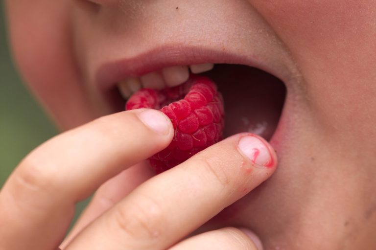 Le manger-mains ou Finger Food en EHPAD
