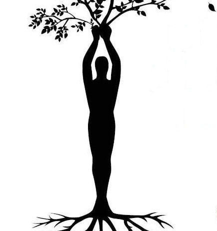 Ateliers : La pleine présence au corps et à la sensorialité pour traverser les événements difficiles