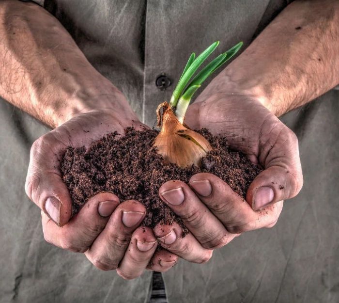 Quand une expression authentique nous dérange